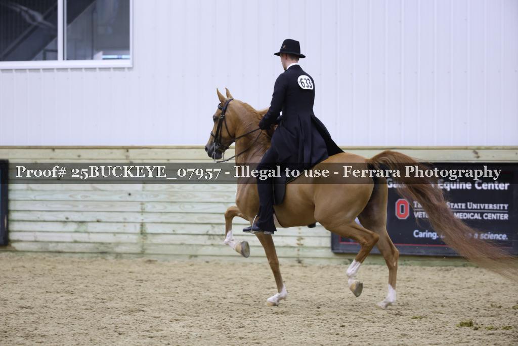 Proof Number 25BUCKEYE_07957