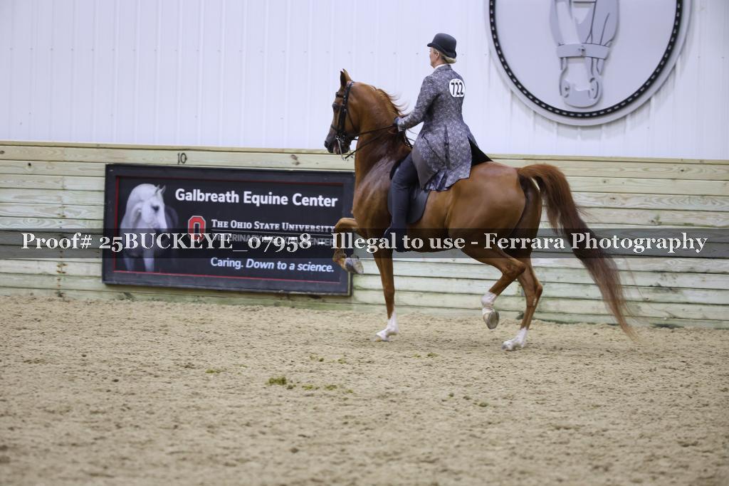 Proof Number 25BUCKEYE_07958