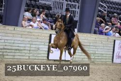 25BUCKEYE_07960 thumbnail