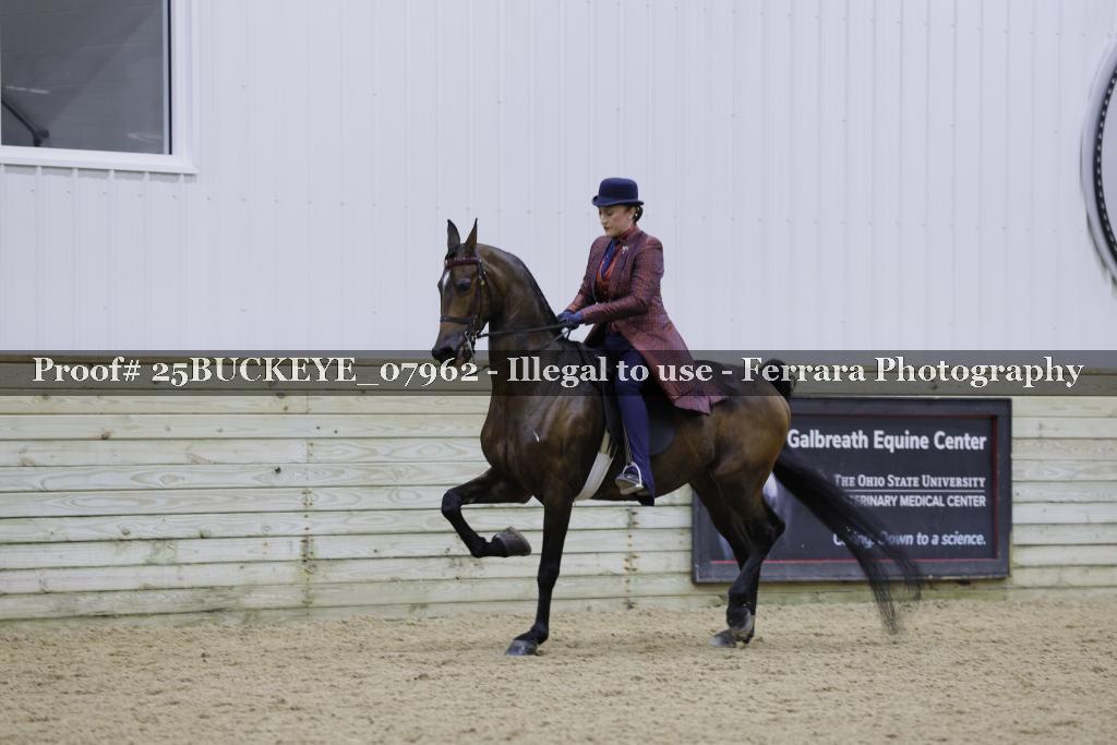 Proof Number 25BUCKEYE_07962