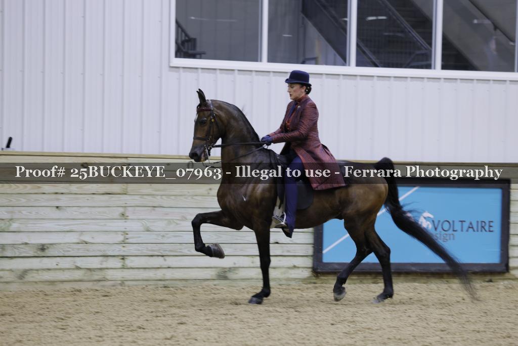 Proof Number 25BUCKEYE_07963