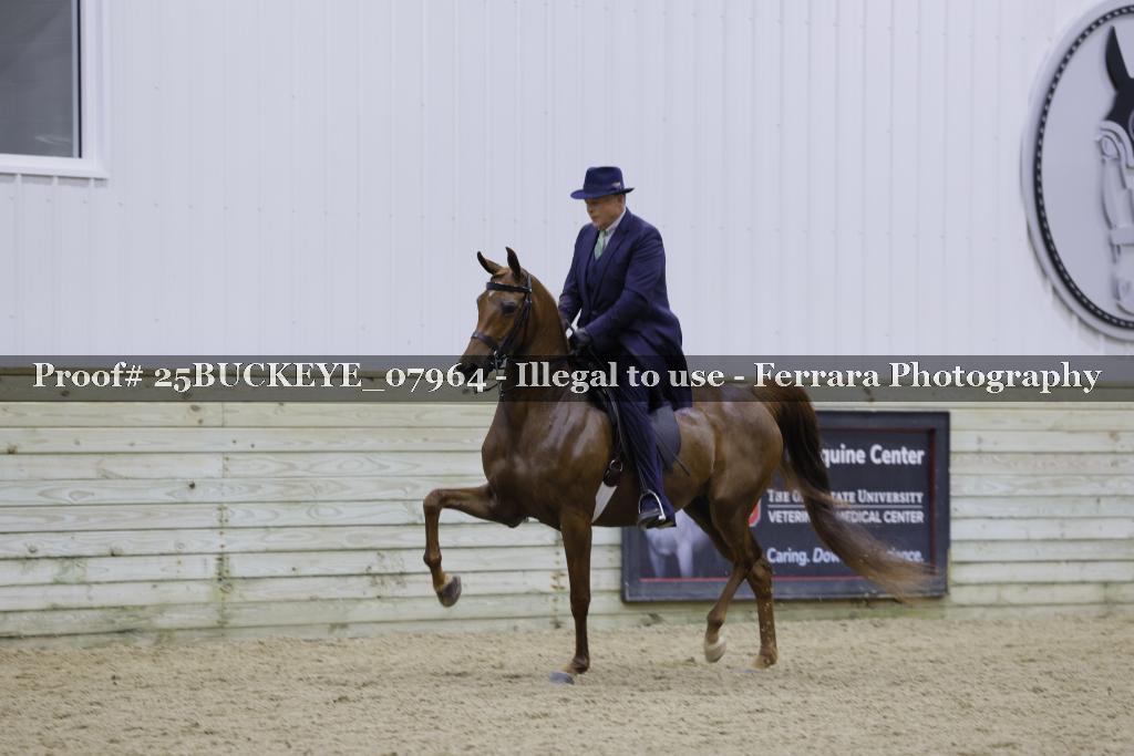 Proof Number 25BUCKEYE_07964