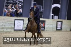 25BUCKEYE_07971 thumbnail