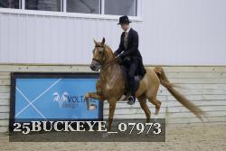 25BUCKEYE_07973 thumbnail