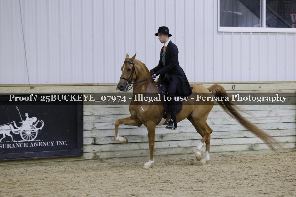 Proof Number 25BUCKEYE_07974