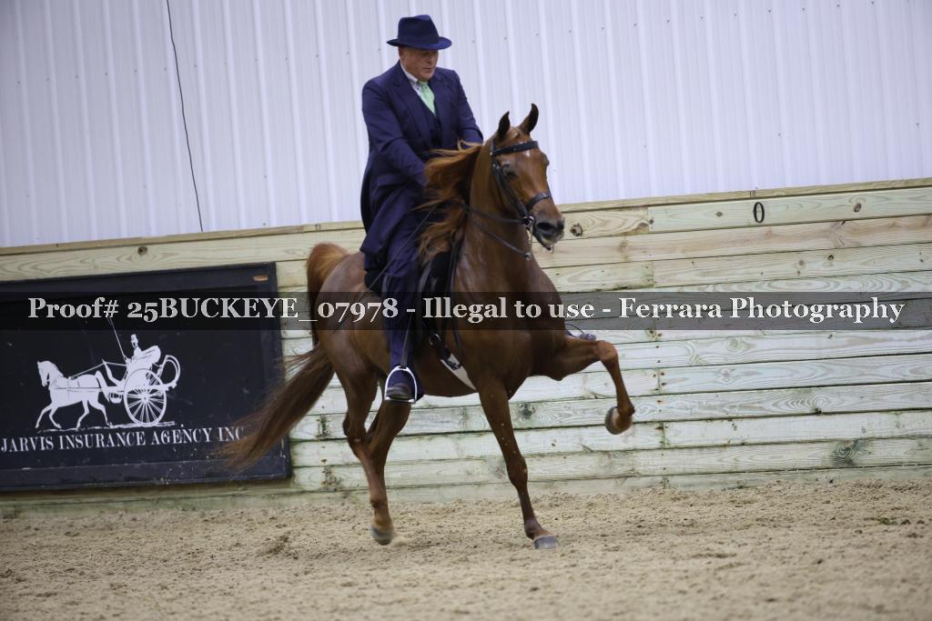 Proof Number 25BUCKEYE_07978