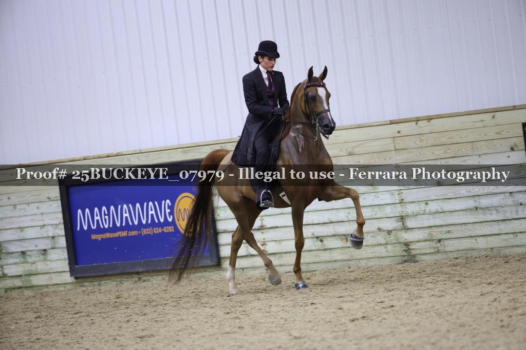 Proof Number 25BUCKEYE_07979