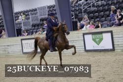 25BUCKEYE_07983 thumbnail