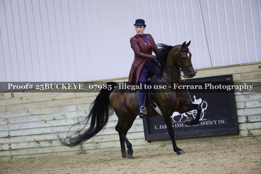 Proof Number 25BUCKEYE_07985