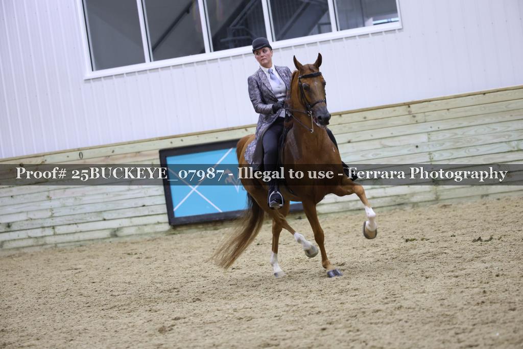Proof Number 25BUCKEYE_07987