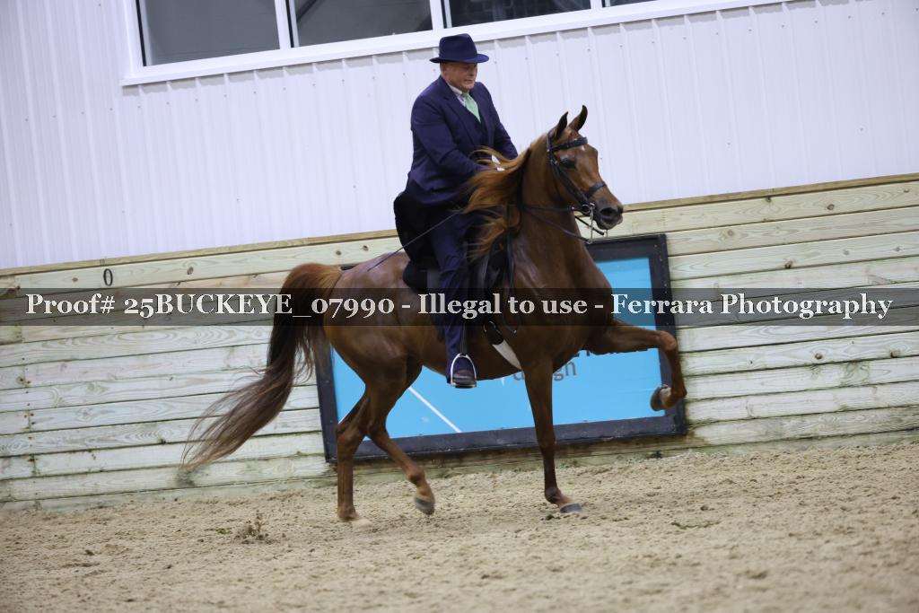 Proof Number 25BUCKEYE_07990