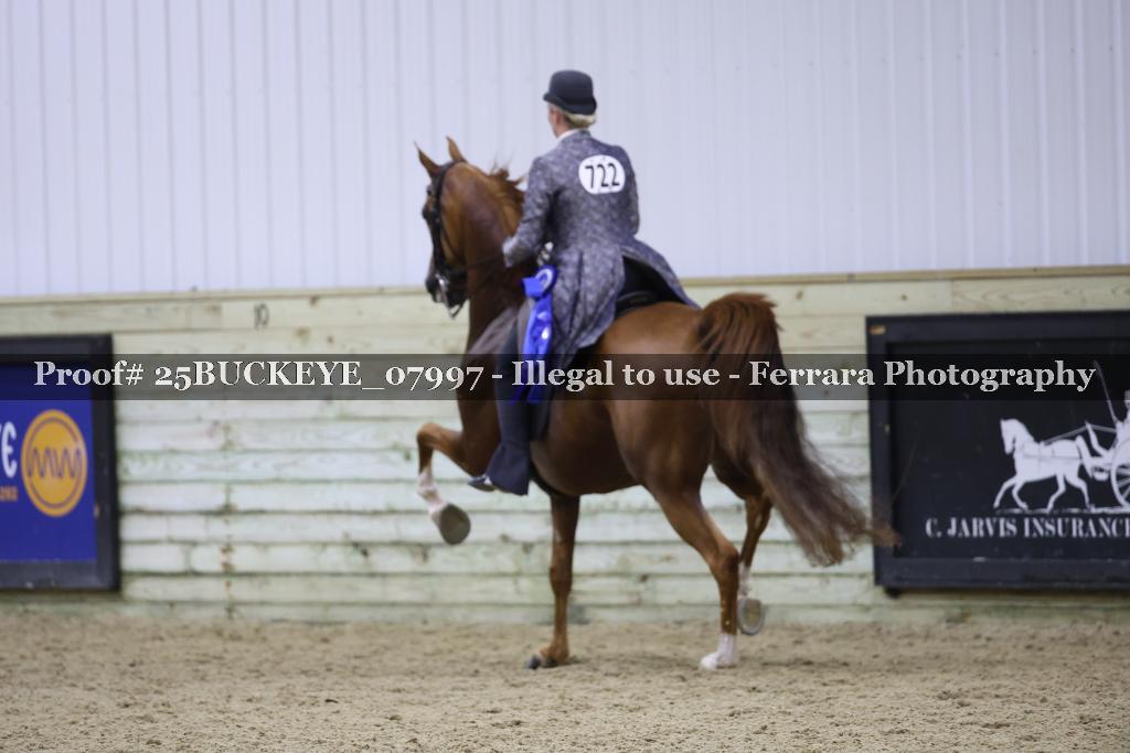 Proof Number 25BUCKEYE_07997