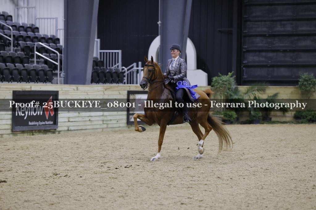 Proof Number 25BUCKEYE_08001