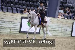 25BUCKEYE_08031 thumbnail