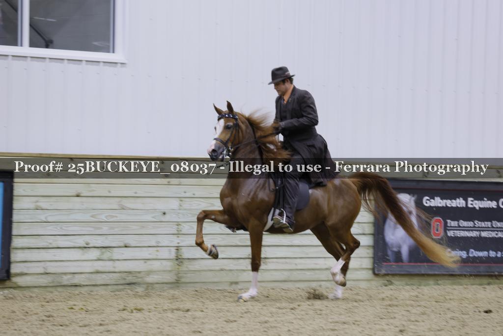 Proof Number 25BUCKEYE_08037