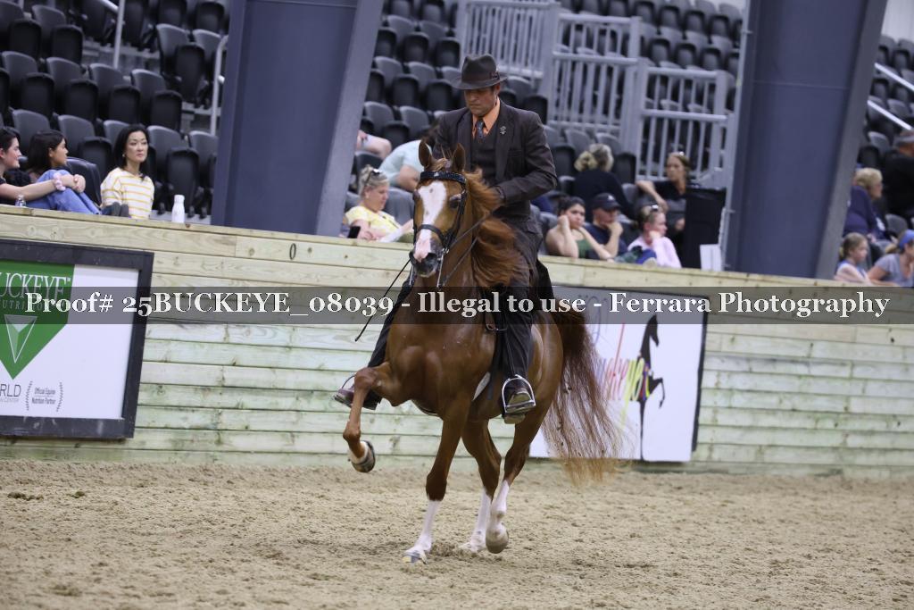 Proof Number 25BUCKEYE_08039