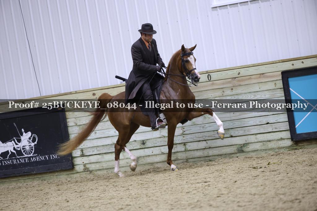 Proof Number 25BUCKEYE_08044