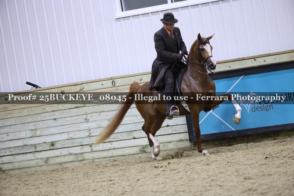 Proof Number 25BUCKEYE_08045