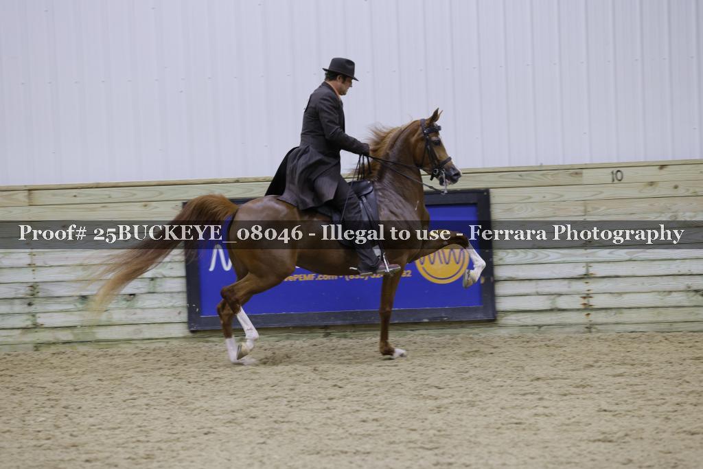 Proof Number 25BUCKEYE_08046