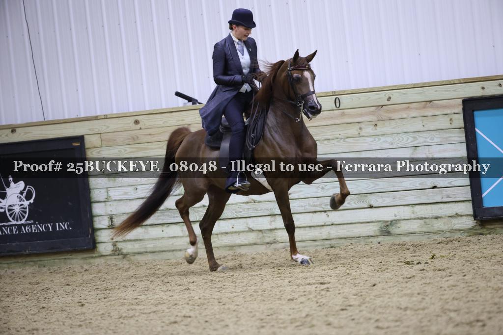 Proof Number 25BUCKEYE_08048