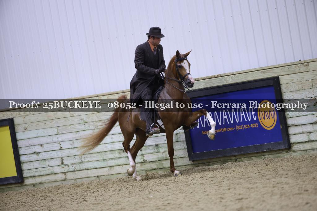 Proof Number 25BUCKEYE_08052