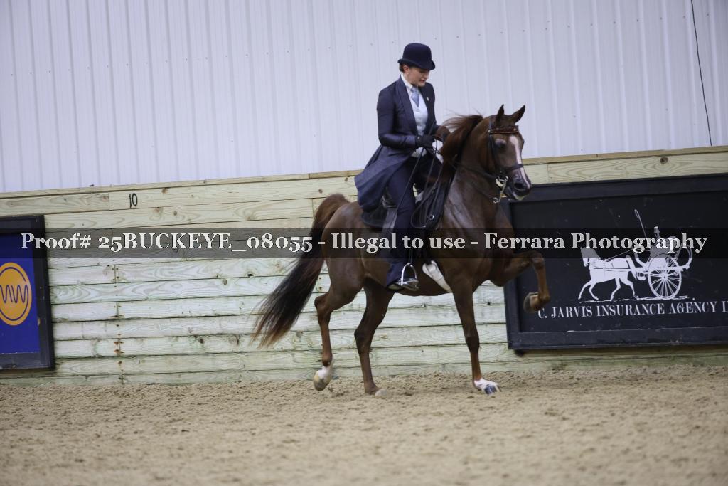 Proof Number 25BUCKEYE_08055