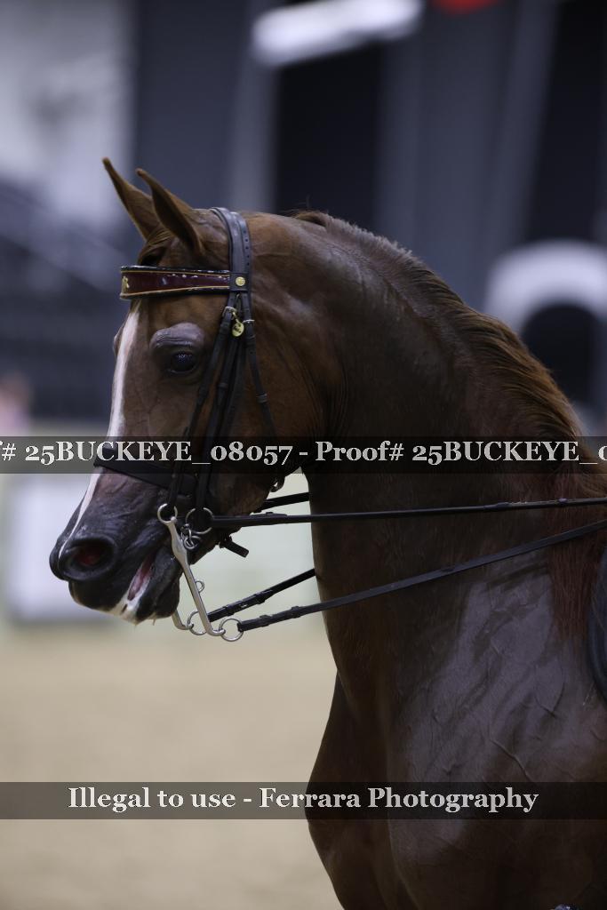 Proof Number 25BUCKEYE_08057