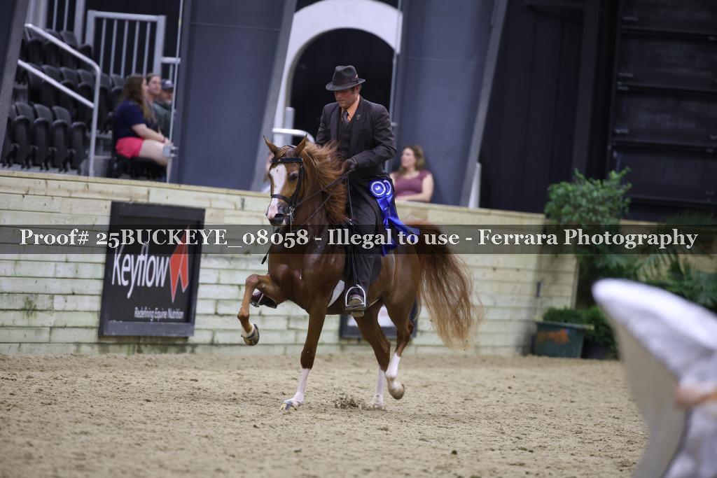 Proof Number 25BUCKEYE_08058