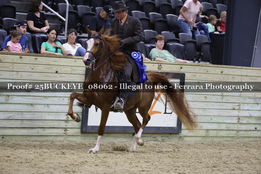 Proof Number 25BUCKEYE_08062