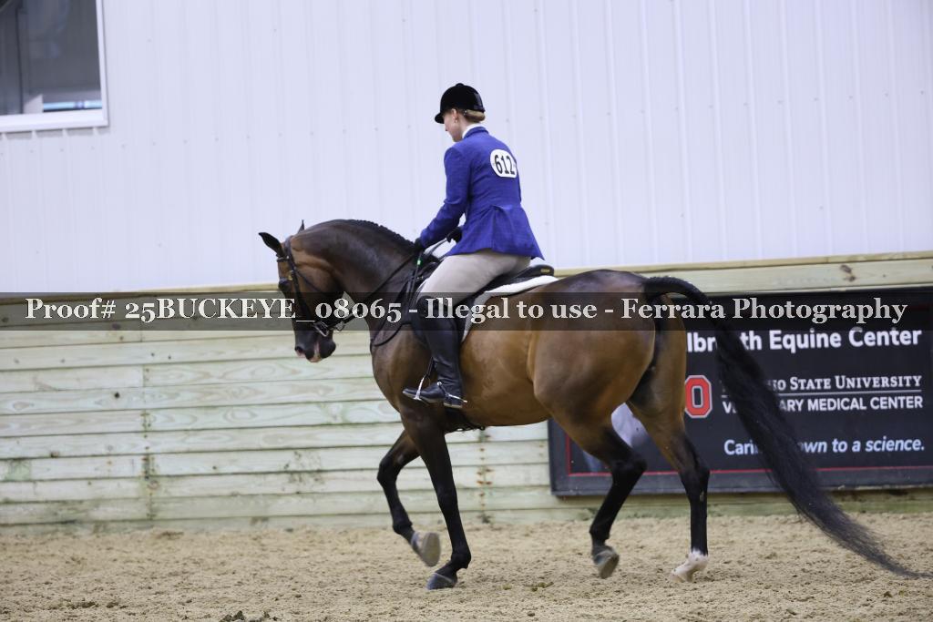 Proof Number 25BUCKEYE_08065