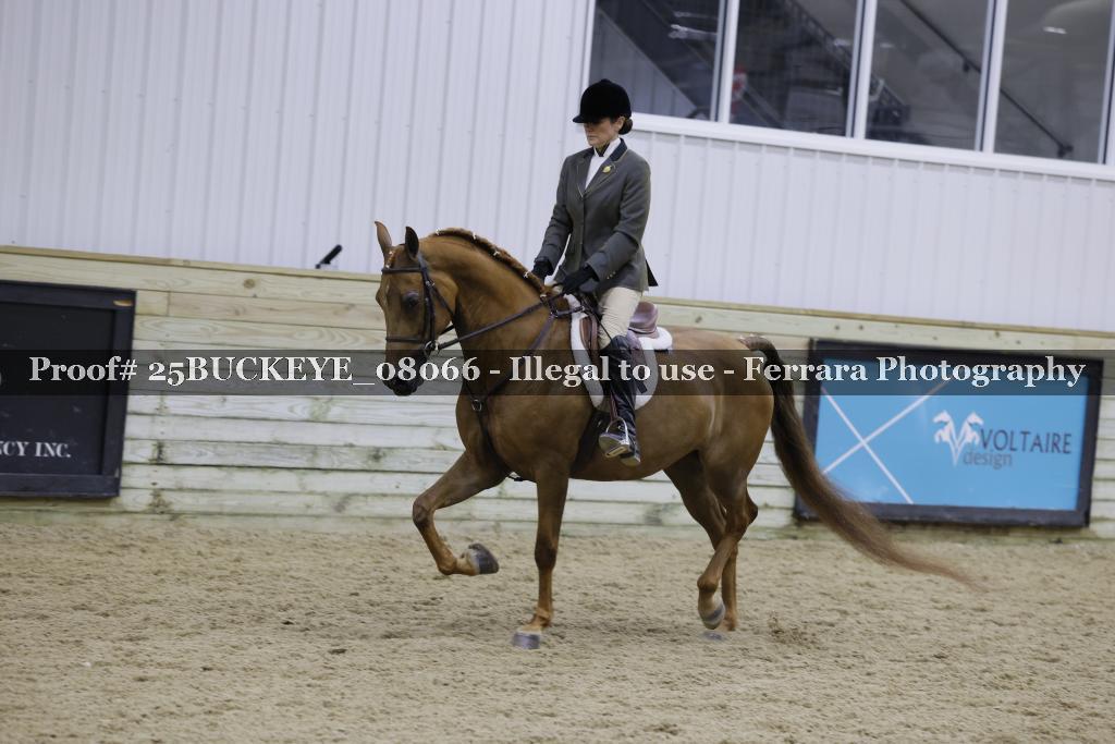 Proof Number 25BUCKEYE_08066