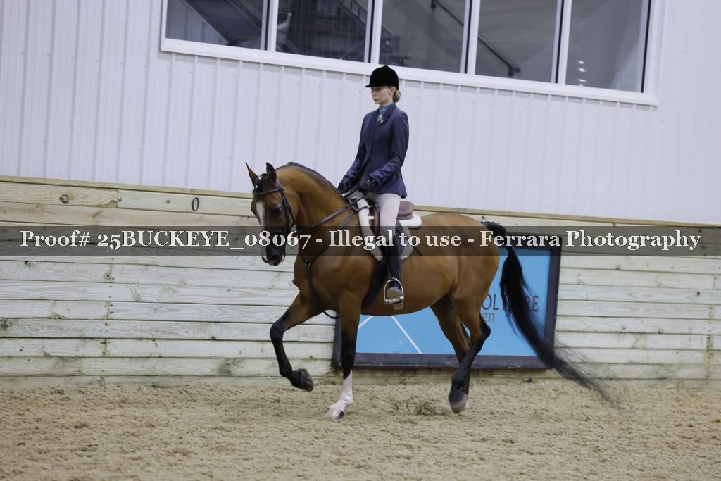 Proof Number 25BUCKEYE_08067