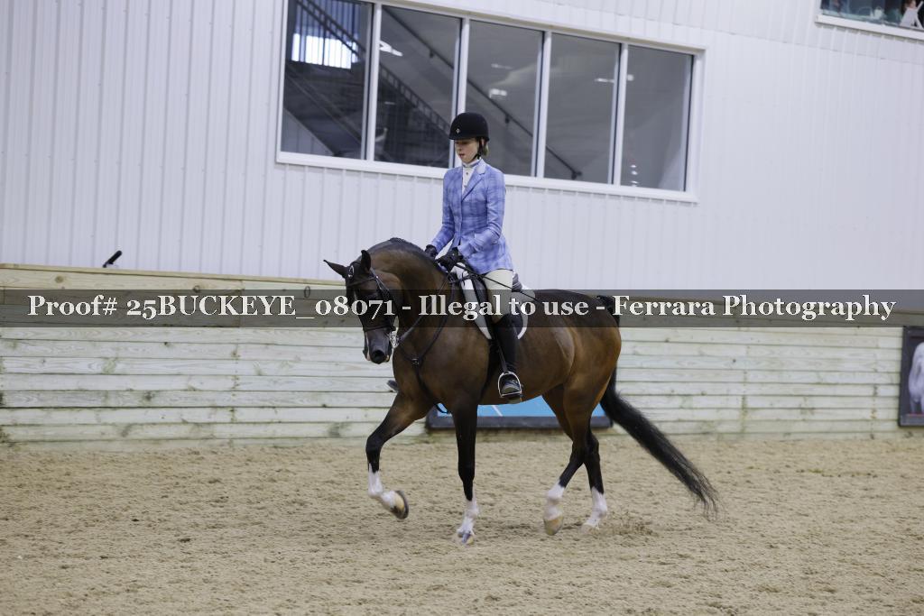 Proof Number 25BUCKEYE_08071