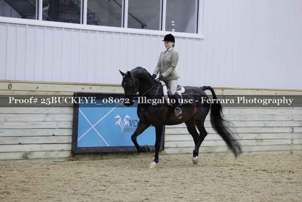 Proof Number 25BUCKEYE_08072