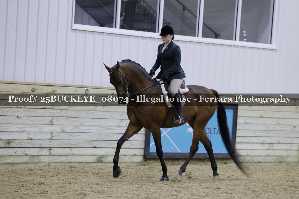 Proof Number 25BUCKEYE_08074