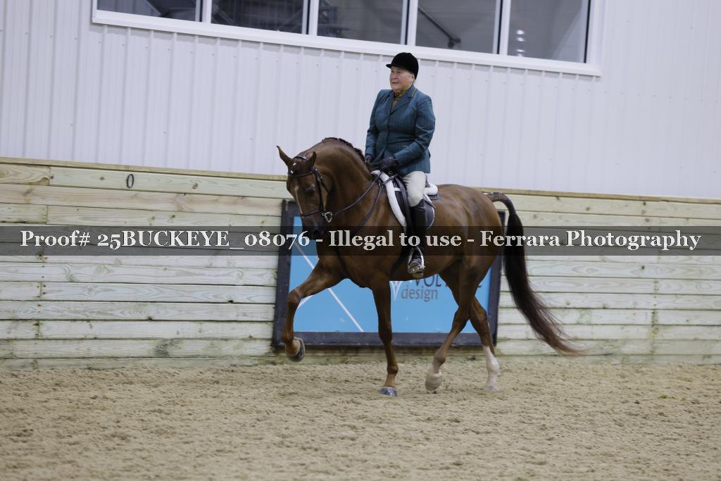 Proof Number 25BUCKEYE_08076