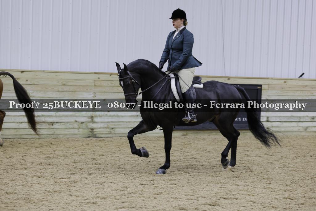 Proof Number 25BUCKEYE_08077