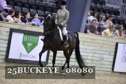 25BUCKEYE_08080 thumbnail