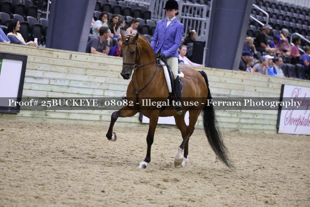 Proof Number 25BUCKEYE_08082