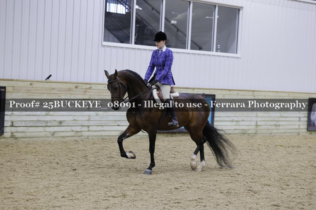 Proof Number 25BUCKEYE_08091