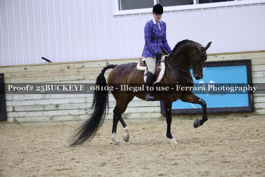 Proof Number 25BUCKEYE_08102