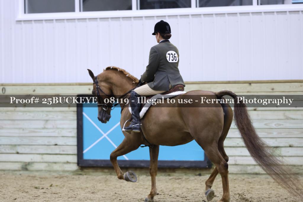Proof Number 25BUCKEYE_08119