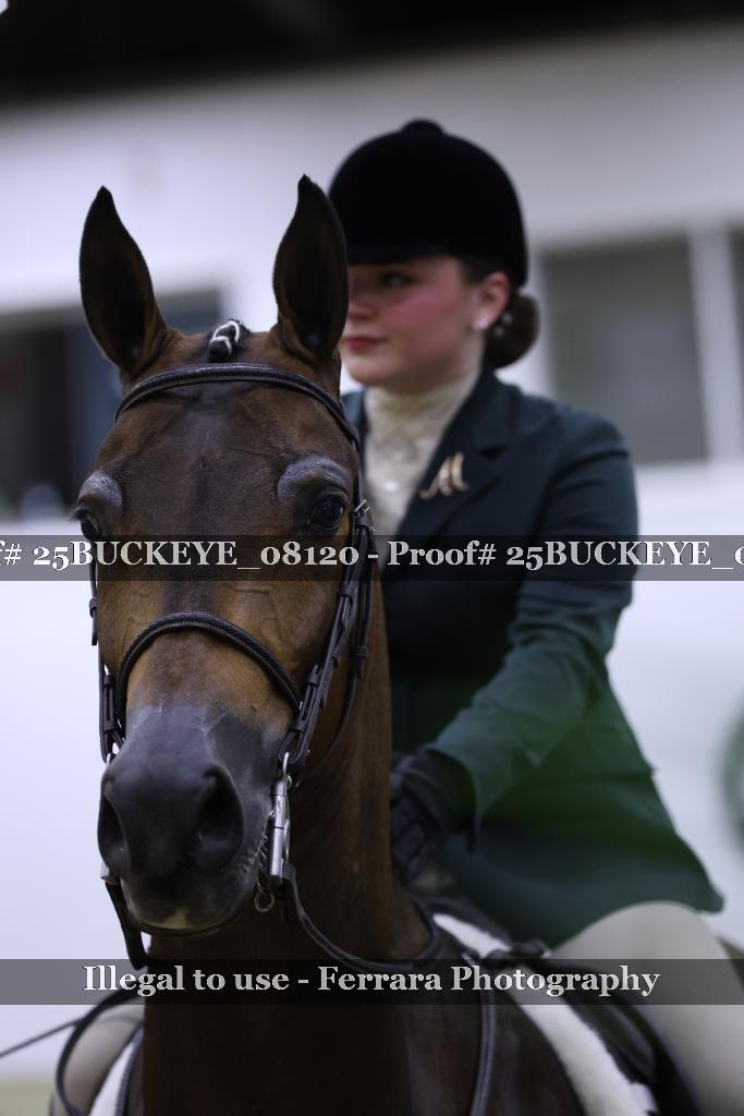 Proof Number 25BUCKEYE_08120