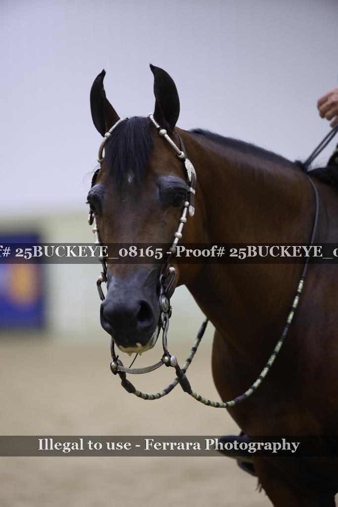 Proof Number 25BUCKEYE_08165