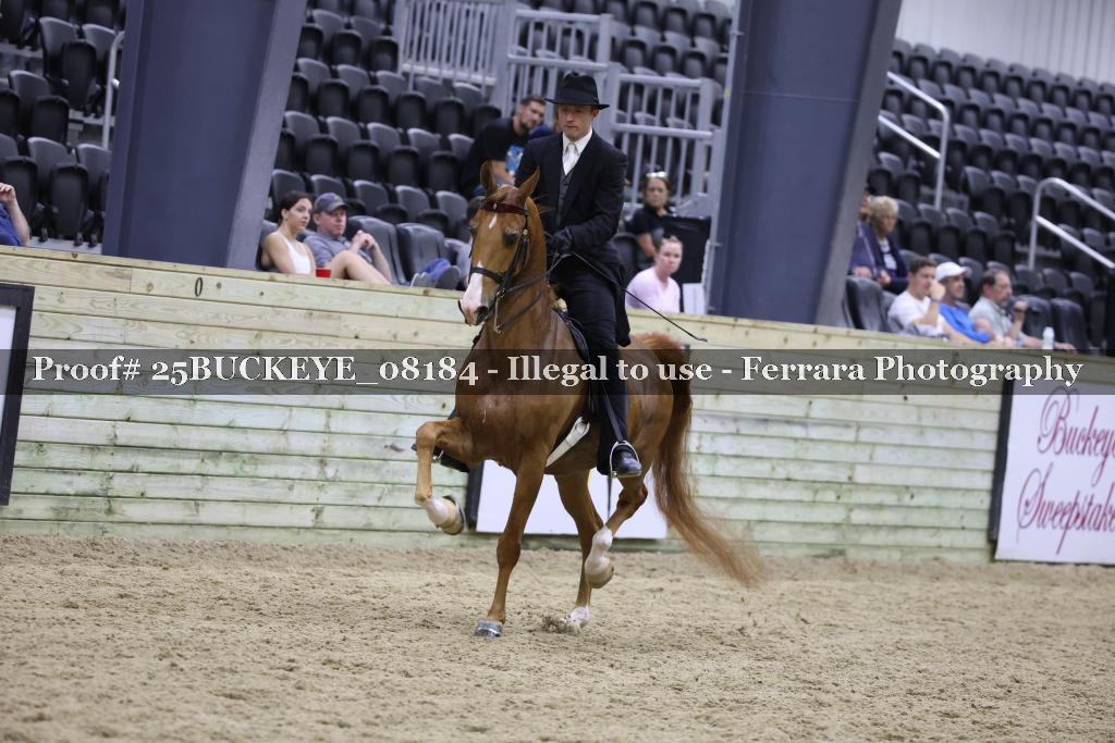 Proof Number 25BUCKEYE_08184