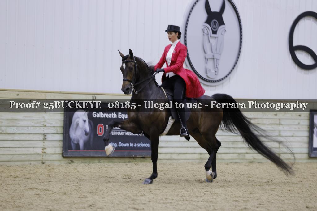 Proof Number 25BUCKEYE_08185