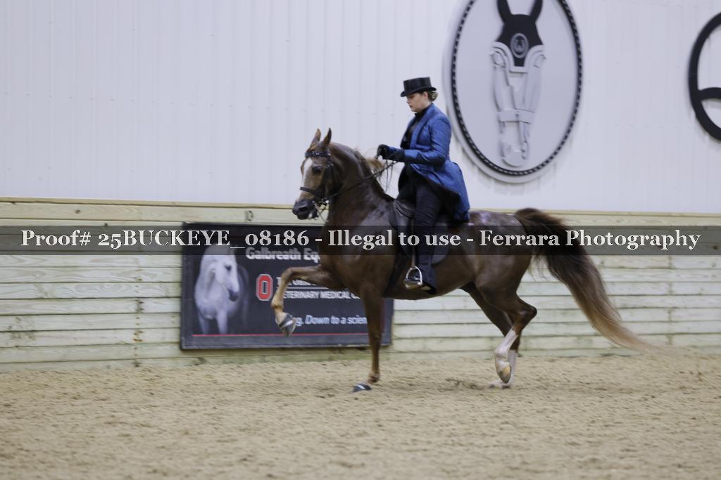 Proof Number 25BUCKEYE_08186