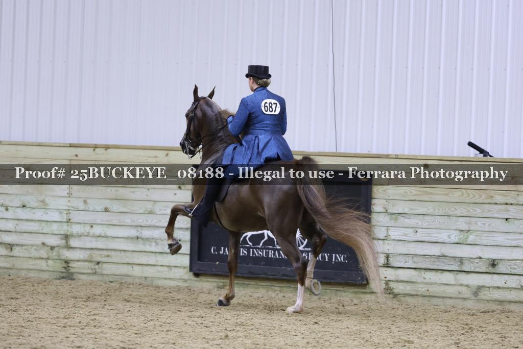 Proof Number 25BUCKEYE_08188