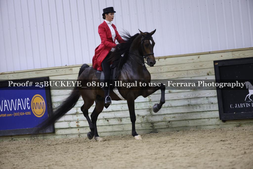 Proof Number 25BUCKEYE_08191