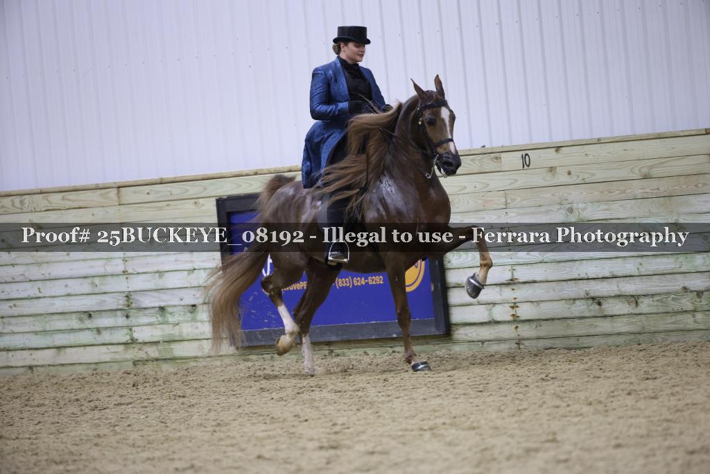 Proof Number 25BUCKEYE_08192